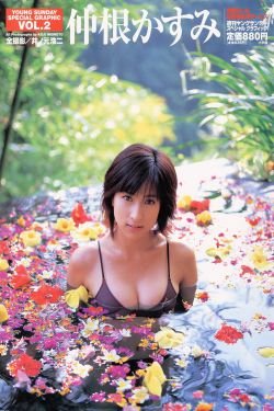 位面小蝴蝶